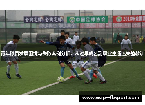 青年球员发展困境与失败案例分析：从过早成名到职业生涯迷失的教训